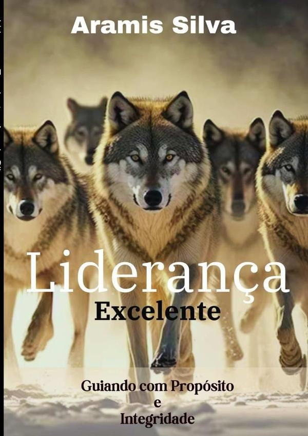Liderança Excelente | Aramis Silva