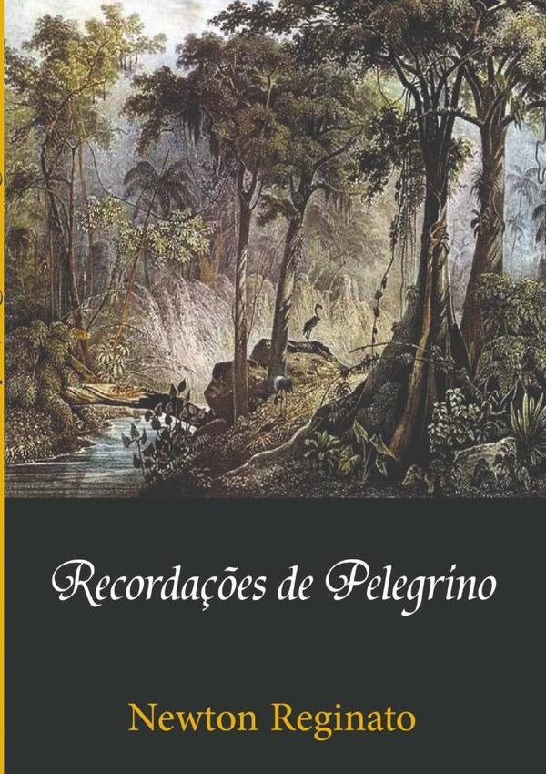 Recordações De Pelegrino | Newton Reginato