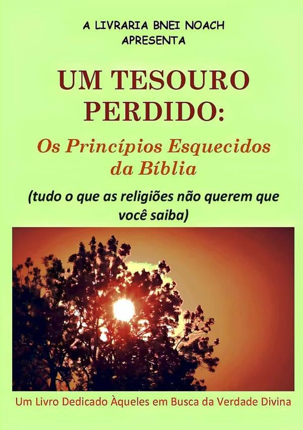 Um Tesouro Perdido: Os Princípios Esquecidos Da Bíblia (tudo O Que As Religiões Não Querem Que Você  | Noa S