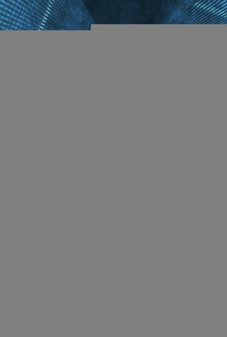 Terrorismo e seu financiamento | Lucas Hinckel Teider