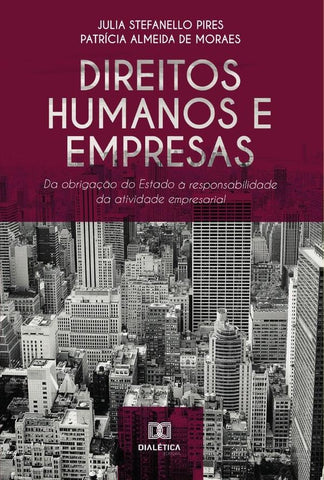 Direitos Humanos e Empresas | Julia Stefanello Pires