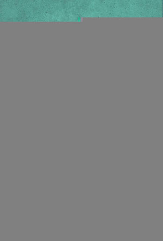 Caminhos e Tropeirismo em Guarapuava | Raquel Virmond Rauen Dalla Vecchia