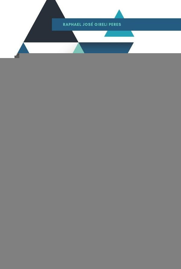 Os Embargos de Declaração no Processo Civil Brasileiro | Raphael José Gireli Peres