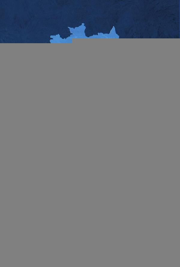 Comprometimento organizacional | Cleides de Souza Lima