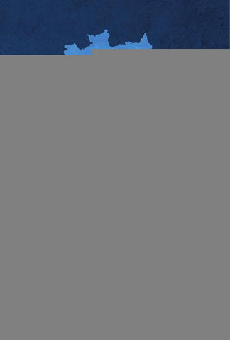 Comprometimento organizacional | Cleides de Souza Lima