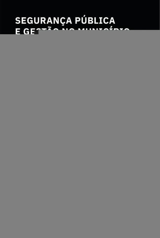 Segurança Pública e gestão no município | Flaviane Aparecida da Silva