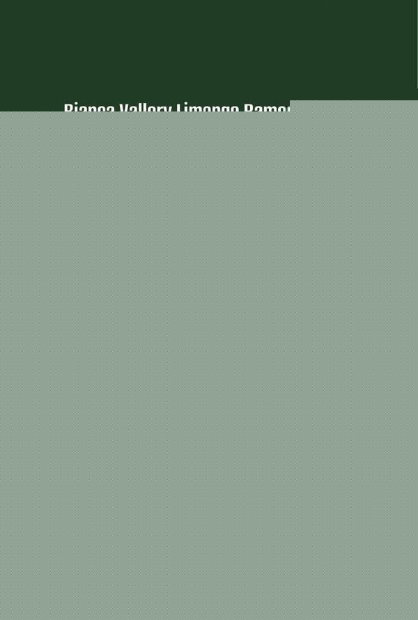 Religião e Direito | Bianca Vallory Limonge Ramos