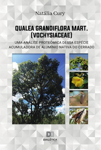 Qualea grandiflora Mart. (Vochysiaceae) | Natália Cury