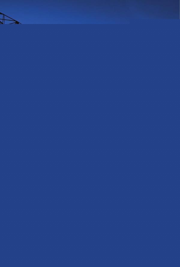 O processo de privatização do setor elétrico | Alberto Fernandes de Campos, Campos y otros