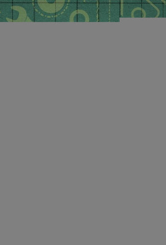 As funções administrativas - planejar, organizar, dirigir e controlar - aplicadas à segurança operac | Telmo Tassinari Neto