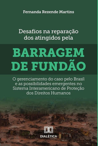 Desafios na reparação dos atingidos pela barragem de Fundão | Fernanda Rezende Martins