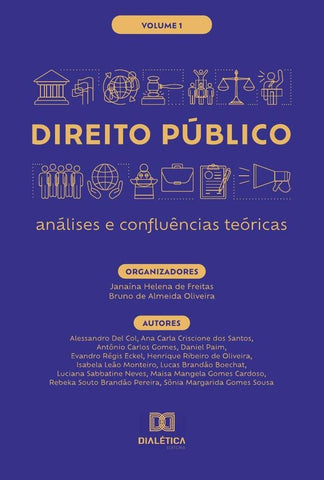 Direito Público - análises e confluências teóricas | Janaina Helena de Freitas
