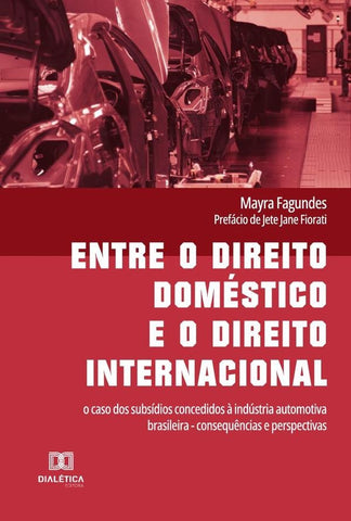 Entre o direito doméstico e o direito internacional | Mayra Fagundes