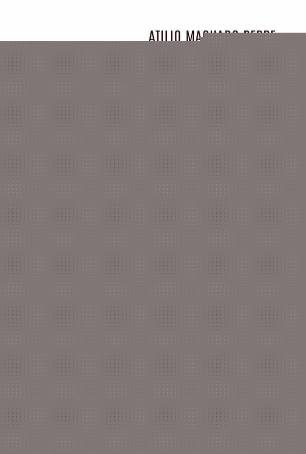 Associativismo em rede na Favela Santa Marta (RJ) | Atilio Machado Peppe