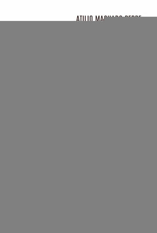 Associativismo em rede na Favela Santa Marta (RJ) | Atilio Machado Peppe