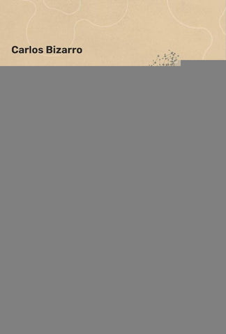 Bioética de Proteção na Atenção Primária à Saúde | Carlos Bizarro