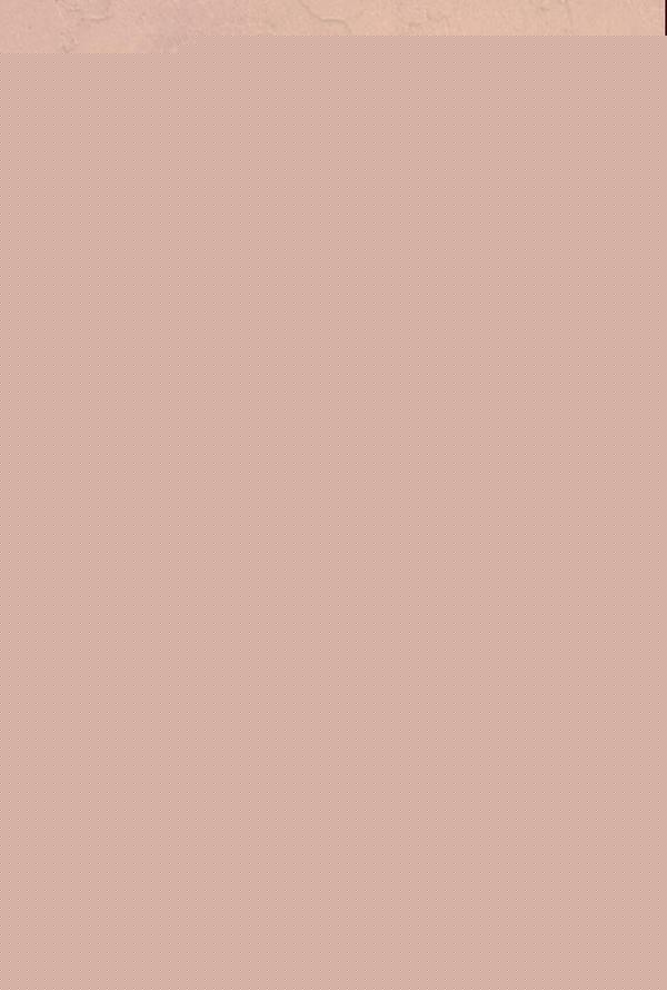 O dever fundamental da paternidade | Fernando Cesar Ferreira Petrungaro