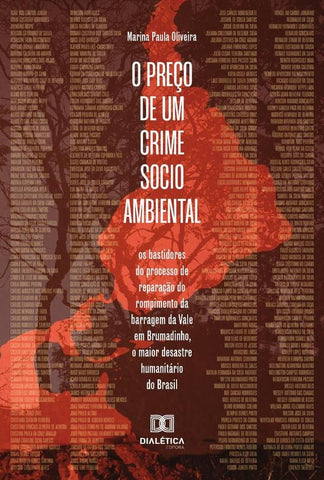 O preço de um crime socioambiental | Marina Paula Oliveira