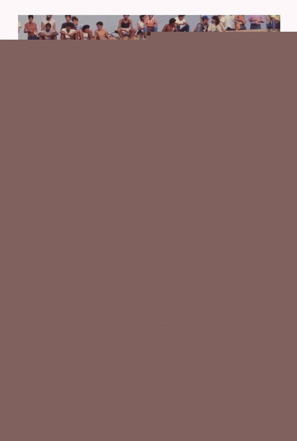 Poesia Marginal, Política E Cidade | Wélcio De Toledo