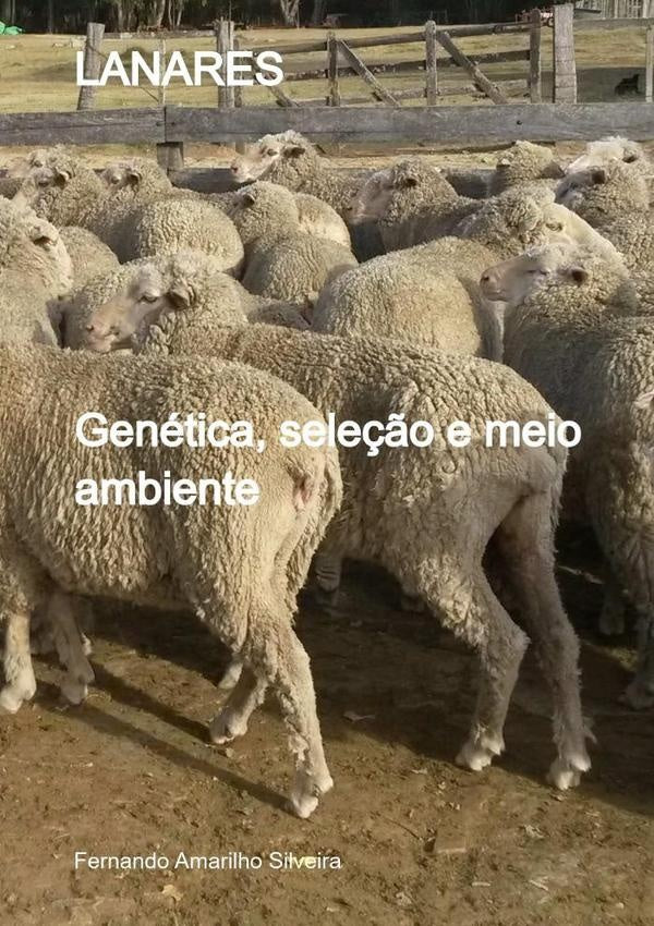 Lanares | Fernando Amarilho Silveira