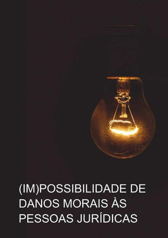 (im)possibilidade De Danos Morais Para Pessoa Jurídica | Danilo Meira Barros
