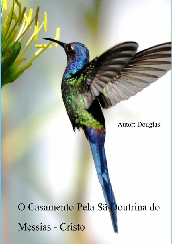 O Casamento Pela Sã Doutrina Do Messias - Cristo | Douglas
