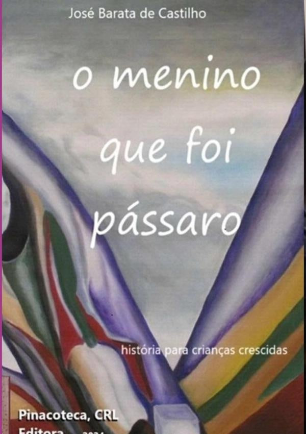 O Menino Que Foi Pássaro | José Barata De Castilho