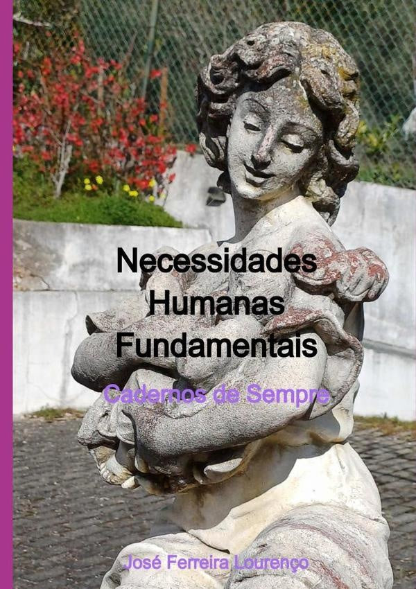 Necessidades Humanas Fundamentais | José Ferreira Lourenço