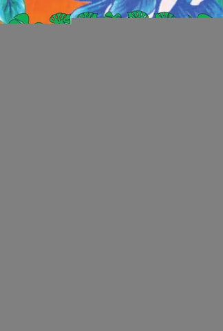 O Professor Brincante E A Cultura Popular - Saberes E Sabores Na Arte De Ensinar! | Marcelo Benigno Amorim E Silva