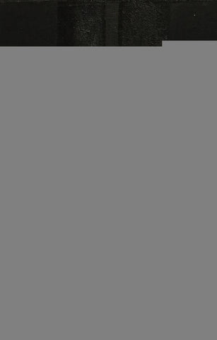 The International Criminal Court | Pablo  Ferrara