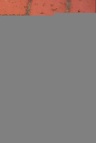 Poesias de Amor, Canções Rebeldes e Outras Besteiras da Juventude | Paulo Souza