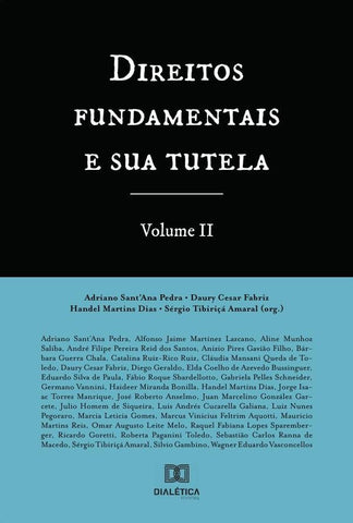 Direitos fundamentais e sua tutela - Volume 2 | Daury Cesar Fa SantAna Pedra