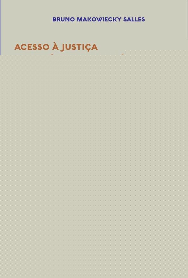 Acesso à Justiça e equilíbrio democrático | Bruno Makowiecky Salles