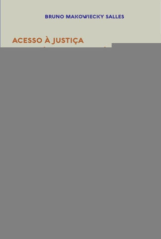 Acesso à Justiça e equilíbrio democrático | Bruno Makowiecky Salles