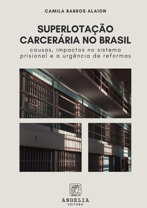 Superlotação Carcerária No Brasil: | Camila Barros Alaion