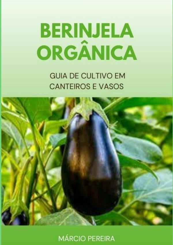 Berinjela Orgânica | Márcio Pereira