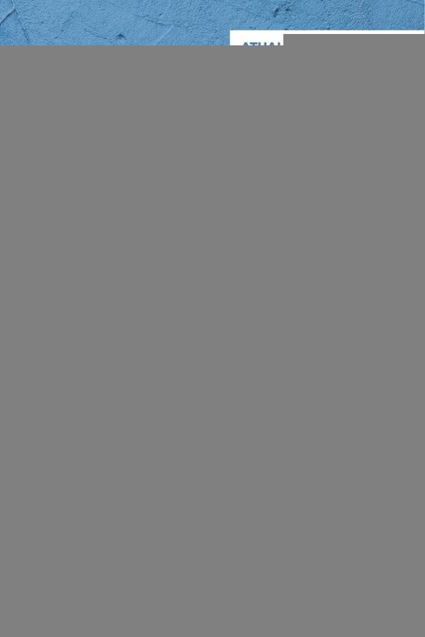 A execução fiscal à luz do princípio do devido processo legal | Julio Lima Souza Martins