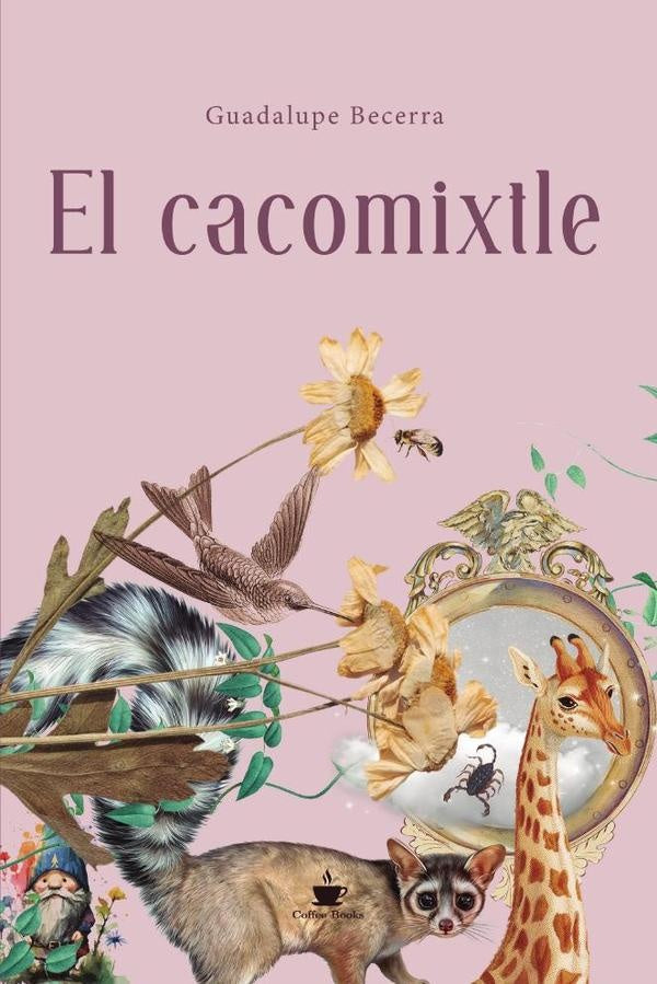 El cacomixtle | Guadalupe Becerra