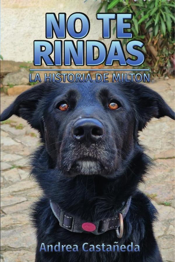 No te rindas | Andrea Castañeda Wyszkowski