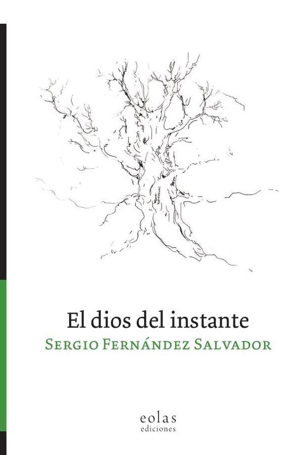 El dios del instante | Sergio Fernández Salvador