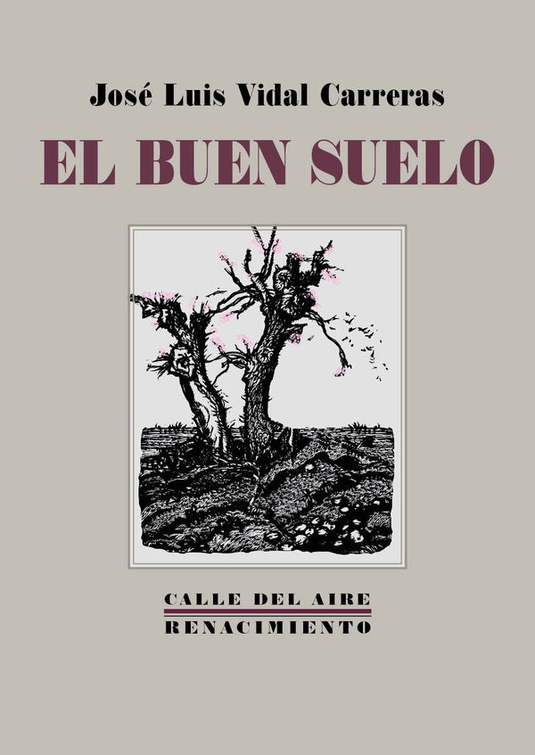 El buen suelo | José Luis Vidal Carreras