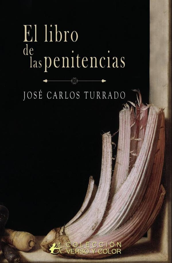El libro de las penitencias | José Carlos Turrado