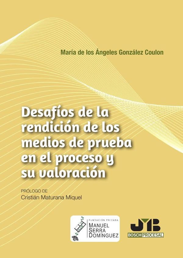 Desafíos de la rendición de los medios de prueba en el proceso y su valoración | María de los Ángeles González Coulon