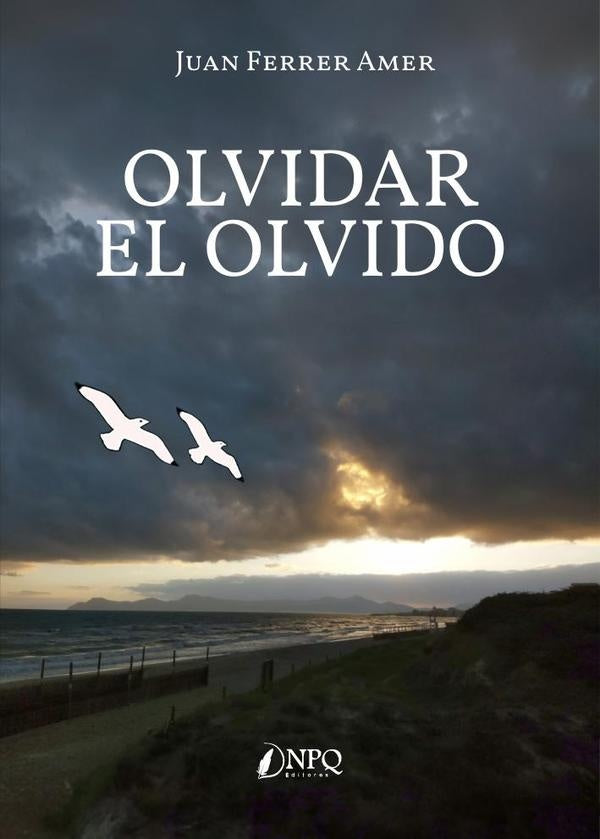 Olvidar el olvido | JUAN FERRER AMER