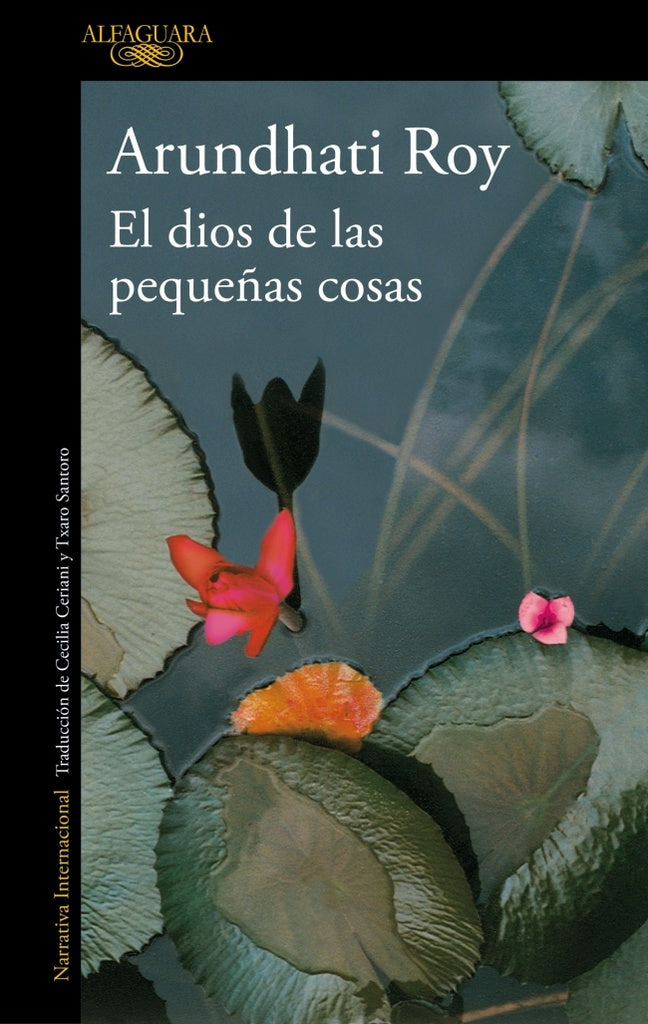 EL DIOS DE LAS PEQUEÑAS COSAS.. | Arundhati Roy