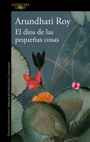 EL DIOS DE LAS PEQUEÑAS COSAS.. | Arundhati Roy