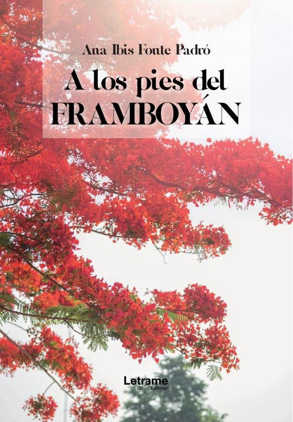 A los pies del framboyán | Ana Ibis  Fonte Padró