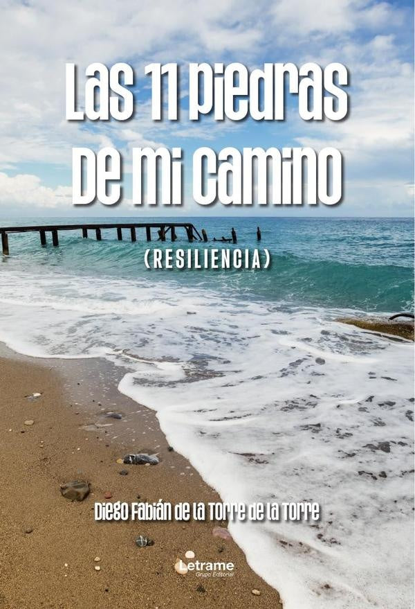 Las 11 piedras de mi camino | Diego Fabián  de la Torre de la Torre