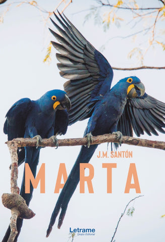 Marta | J.M. Santón