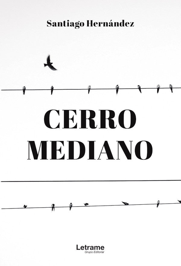 Cerro mediano | Santiago Hernández